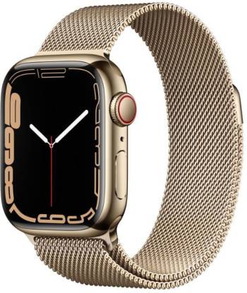 APPLE Watch Series7 (GPS+Cellular-41mm) Graphite Stainless Steel Case-Graphite Loop (Grey Strap, Regular)